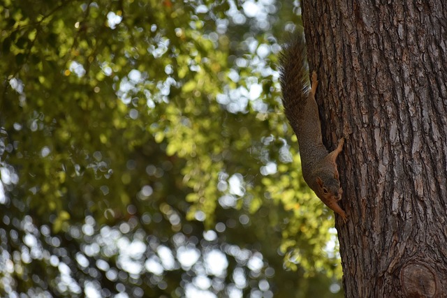 手最终未能 手最终未能