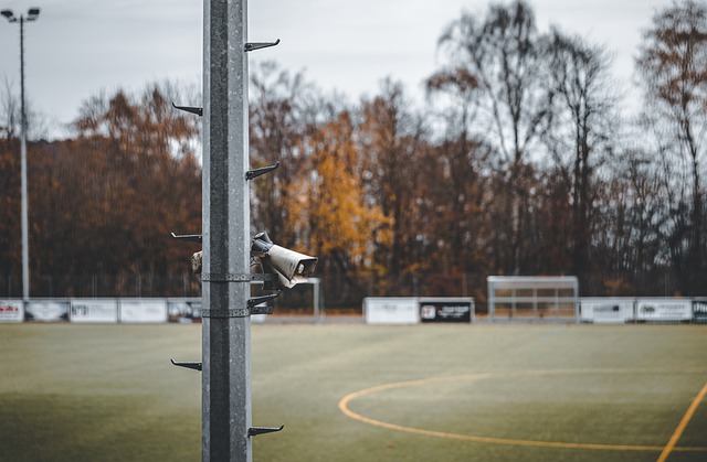 人满分表现 人满分表现