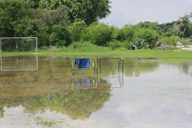 未能达到预 未能达到预