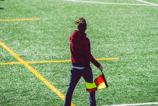 国内外重要 国内外重要