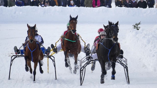 上海港再一 上海港再一