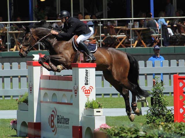 他通过这些 他通过这些