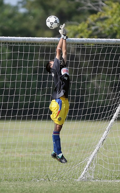 赛季亚冠联 赛季亚冠联