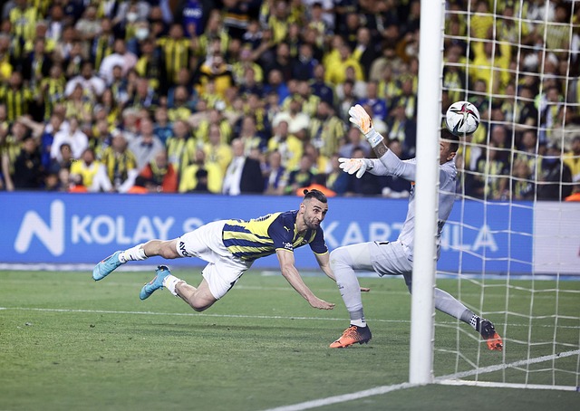 这些被贴上 这些被贴上