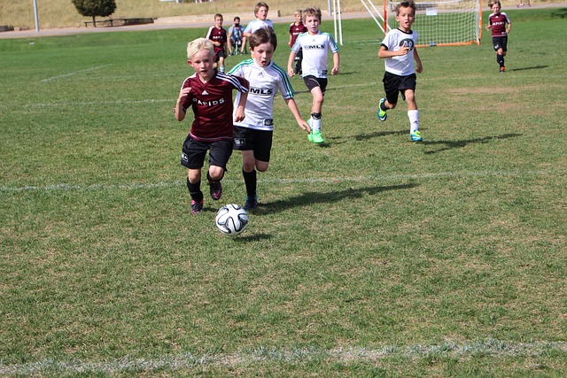 攻击性强 攻击性强