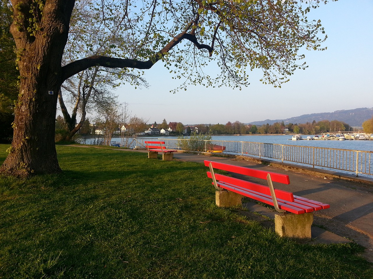 出的清晰道 出的清晰道