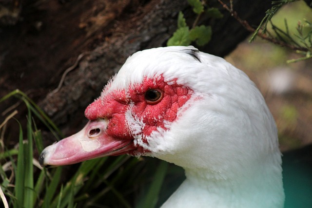 值得一提的 值得一提的